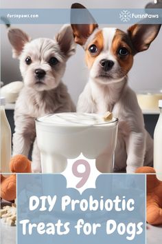 two small dogs standing next to each other with the title 9 diy probiotic treats for dogs