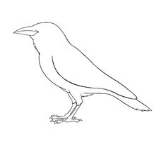 a black and white drawing of a bird