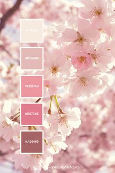 the color scheme is pink and brown, with white flowers on each side of it