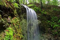 a waterfall in the middle of a lush green forest