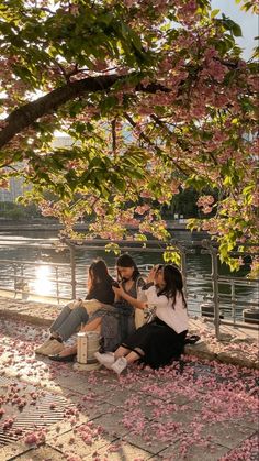 three women sitting on a bench under a tree with petals all over the ground and in front of them