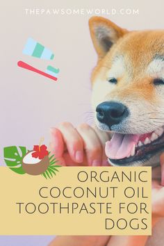 a person holding a dog in their hands with the title organic coconut oil for dogs