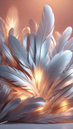 white feathers are glowing in the sunlight