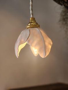 a light that is hanging from a rope with a flower on it's end