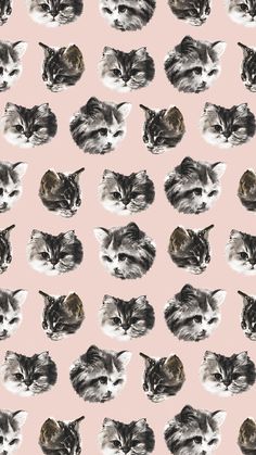 a pattern with cats on a pink background that looks like they are looking at something