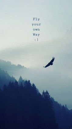 an eagle flying in the sky over trees with a quote above it that reads fly your own way