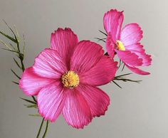 three pink flowers in a vase on a table