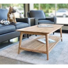 a dog sitting on top of a wooden coffee table