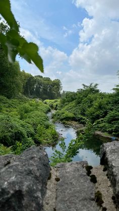 a river running through a lush green forest under a blue sky with white fluffy clouds