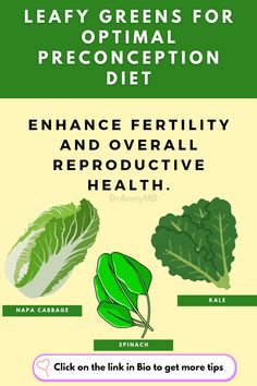 nappa cabbage kale spinach preconception leafy green intake important Green Power, Essential Nutrients, Folic Acid