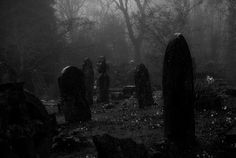 an old cemetery in the middle of a foggy forest with tombstones and trees