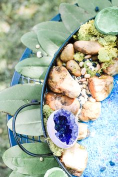 a blue table topped with lots of rocks and plants next to a leafy green plant