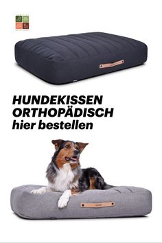 a dog laying on top of a bed with the words hundekissen orthopiach her bestellen