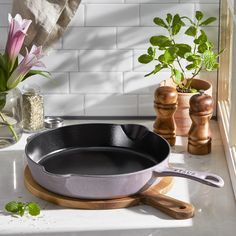 a pan sitting on top of a counter next to a potted plant