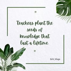 there is a plant with green leaves on it and the words teachers plant the seeds of knowledge that last a lifetime