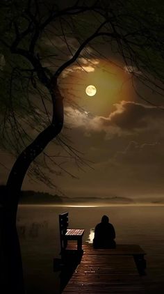 a person sitting on a bench looking out at the water with the moon in the background