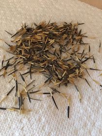 a pile of sticks sitting on top of a white towel