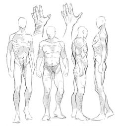 an image of a man's body and hands in different positions on a white background