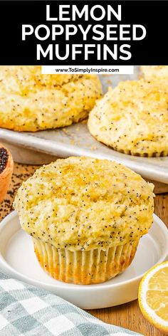 Lemon poppy seed muffin on a white plate with a muffin tin full in the background Lemon Poppyseed Muffins Easy, Lemon Poppy Muffins, Poppy Seed Muffin Recipe, Lemon Poppy Seed Muffins Recipe, Lemon Blueberry Muffins Recipe, Lemon Muffin Recipes, Poppyseed Muffins, Lemon Poppy Seed Muffins, Seed Muffins