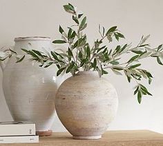 two white vases sitting on top of a wooden table next to books and plants