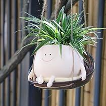 a potted plant with a smiling face on it