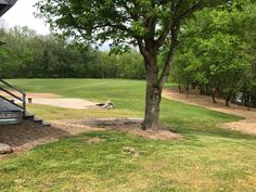 a baseball field with trees and grass in the foreground