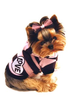 a small dog wearing a pink and brown shirt with love on it's chest