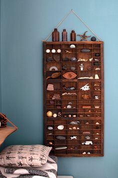 a wooden shelf filled with seashells on top of a wall next to a bed