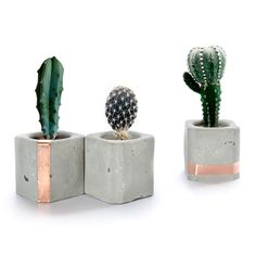 three cement planters with different types of cactuses in them, one is green and the other is pink