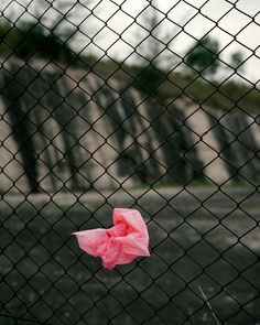 a piece of pink tissue sitting on top of a fence