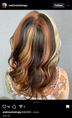 Calico Hair Ginger With Black Highlights, October Hair Color Ideas, Orange Highlights In Brown Hair, Orange Hair Ideas, Block Dyed Hair, Hairstyles With Curled Hair, Calico Hair, Color Block Hair, Colorful Vibes