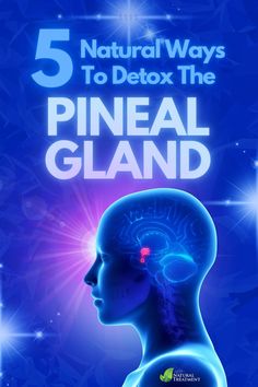 Pineal Gland Facts, Decalcify Pineal Gland, Liver Cleanse Juice, Pineal Gland, Energy Healing Spirituality, Natural Sleep Remedies, Endocrine System, Body Organs, Body Detox