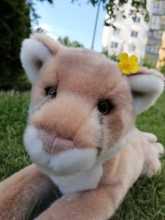 a stuffed animal is laying in the grass with a yellow flower on its head and nose