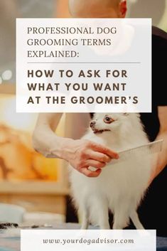 a person grooming a dog with the title how to ask for what you want at the groomer's