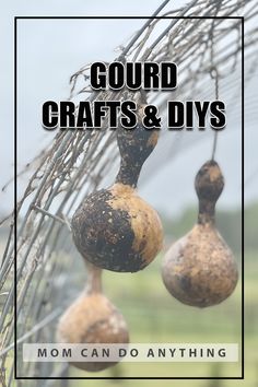 the words gourd crafts and diys are hanging from wire