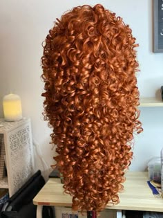 Merida Wig, Merida Hair, Wig Room, Hair Styles To Try, Gyaru Hair, Brave Princess, Hair Doctor, Fun Buns, Head Style