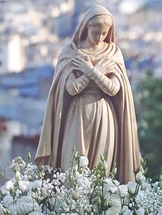 a statue of the virgin mary is surrounded by white flowers