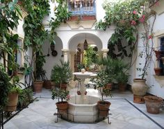 a courtyard with potted plants and a fountain