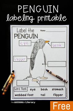 penguin labelling printable worksheet with crayon markers and pencils