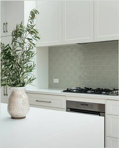 a white vase with a plant in it sitting on a counter top next to a stove