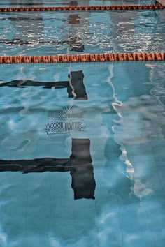 an olympic swimming pool with swimmers in the water