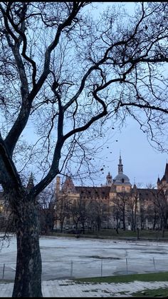 a large building sitting next to a tree in a snow covered field with no leaves