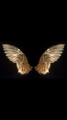 two gold angel wings are shown against a black background with the words, i am not sure what this image is