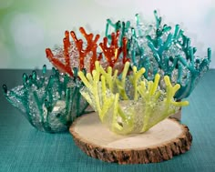 several different colored seaweed sitting on top of a piece of wood