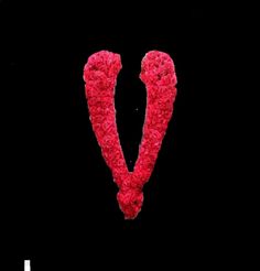 the letter v is made out of yarn and placed in front of a black background