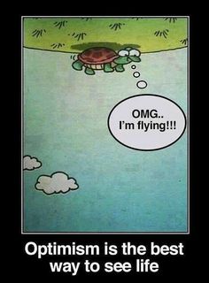 an image of a turtle saying, optimism is the best way to see life