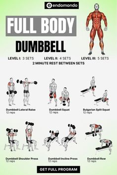 the full body dumbbell workout plan is shown in this graphic style, with instructions for each