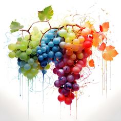 a bunch of grapes that are hanging from a branch with paint splatters on it