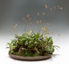 a planter filled with lots of green plants and dirt on top of a white surface