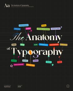 the anatomy of typograph is shown in this graphic art work, which includes different types